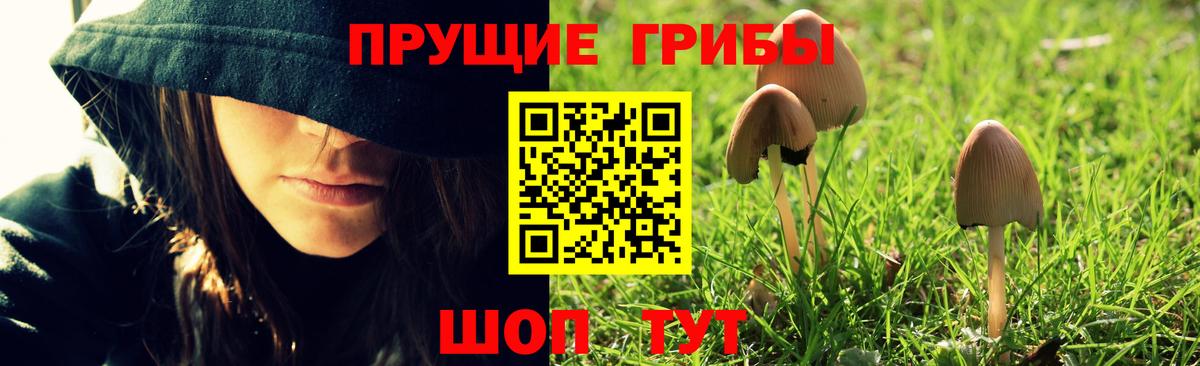 Галлюциногенные грибы ЛСД Курчатов